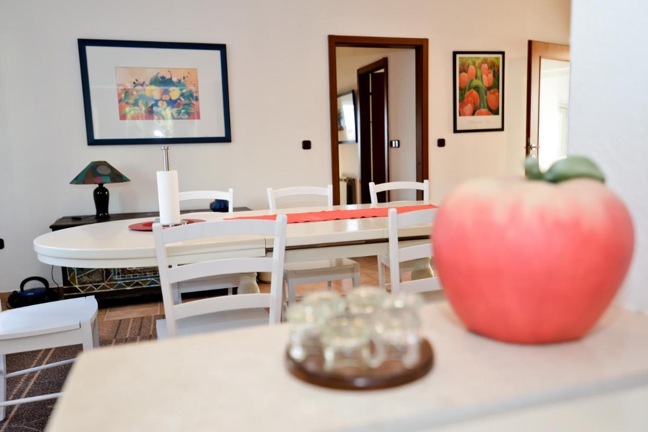 זאדאר Apartmani Vidikovac Dokoza מראה חיצוני תמונה